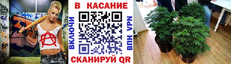 Купить наркотики Ростов-на-Дону Экстази  Каннабис  Кокаин  Мефедрон  Гашиш  A PVP 