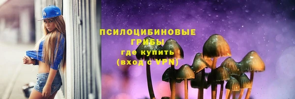 бошки Верея