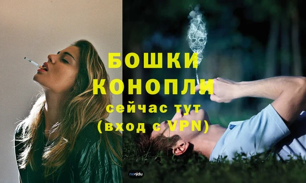 бошки Верея