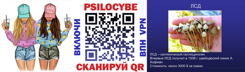 Галлюциногенные грибы Psilocybe купить наркотик Ростов-на-Дону