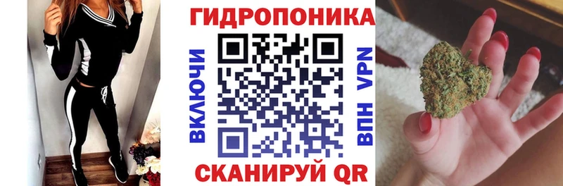где продают наркотики  OMG как зайти  Конопля Amnesia  Ростов-на-Дону 
